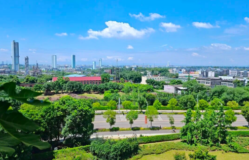 四川金象.png