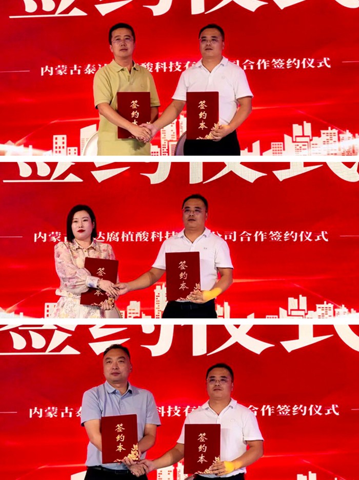 光影魔术手拼图.jpg