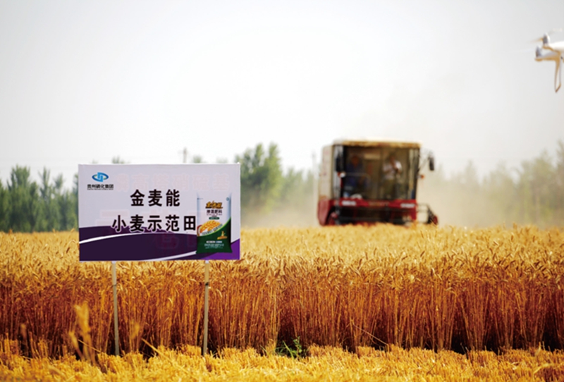 微信图片_2026-09-23_141130_083.jpg