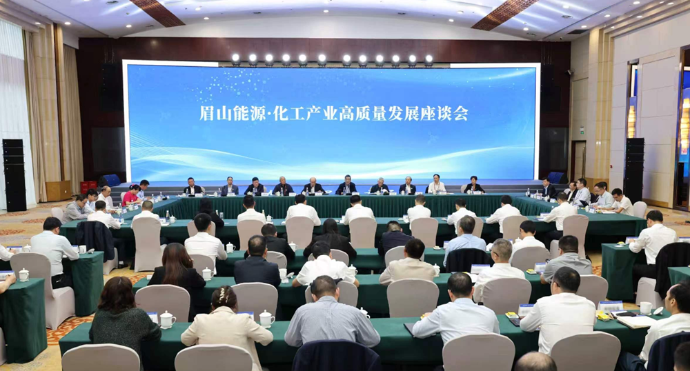 座谈会 雷同 摄.png